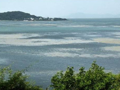 深圳水質(zhì)檢測機構(gòu) 深圳水質(zhì)檢測機構(gòu)