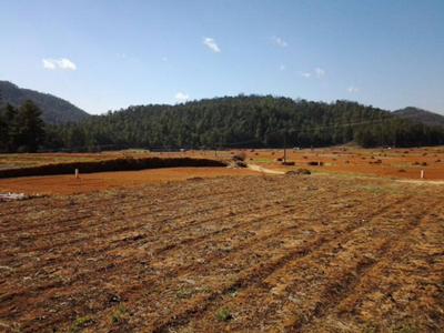 深圳水質(zhì)檢測機構(gòu) 深圳水質(zhì)檢測機構(gòu)